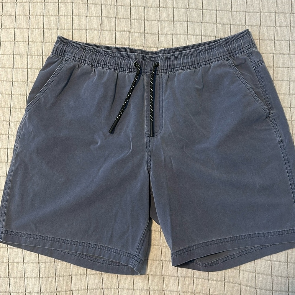 Bearbottom Volley Shorts